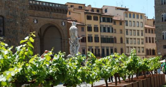 10 years for "Dei Frescobaldi": the vineyards brought in Piazza della Signoria