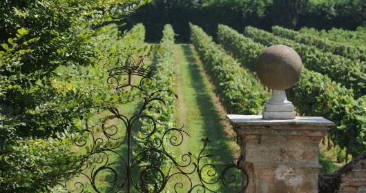 "GREAT GARDENS: GREAT WINES!": Discovering the gardens, vineyards and Italian wines