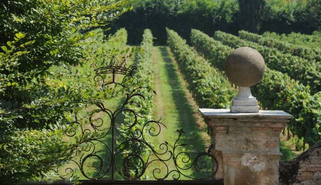 "GREAT GARDENS: GREAT WINES!": Discovering the gardens, vineyards and Italian wines