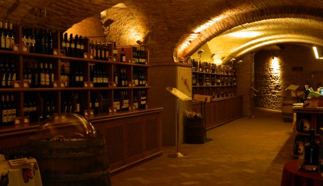 Enoteca Emilia Romagna: FORTRESS DOZZA the autumn of WINE!