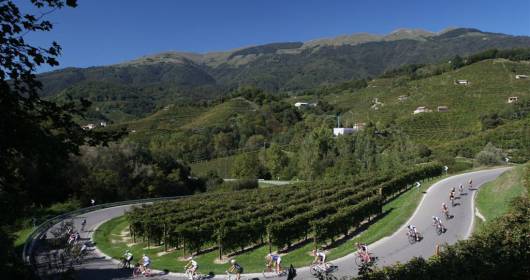 Valdobbiadene Prosecco Cycling: ... the sommelier AIS on the market place