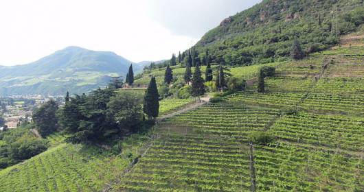 IMPRONTE DECCELLENZA: the competition for the green economy in the wine