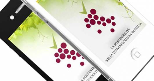 Viva-sustainable wine: the app on sustainable vinegrapes.