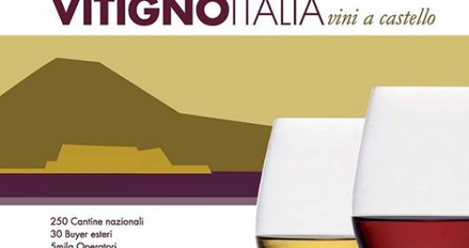 Vitignoitalia 2013, an achievement: the best wines of Italy winners in Naples