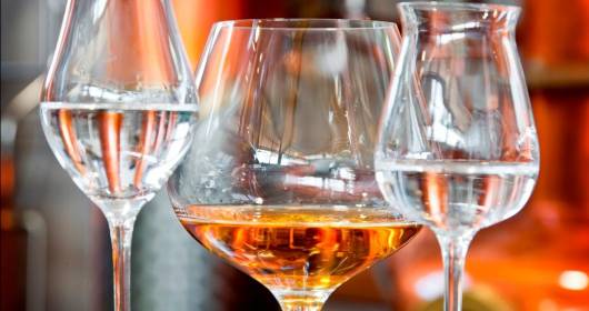 GRAPPERIE APERTE 2013: to learn about Italian grappa
