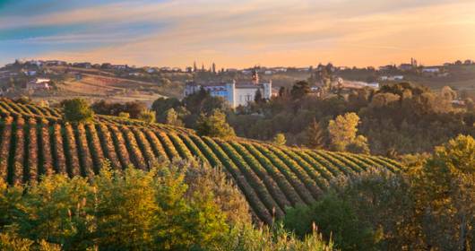 Italian wine in Washington: the coordination to win abroad