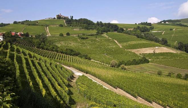 The Wines of Veronelli 2014: the “Super Tre Stelle”