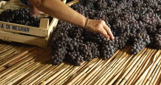 Valpolicella Negrar Winery: the practices deserving an eco–friendly award 2013 in the Amarone lands