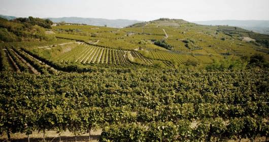 Soave: beyond the zoning