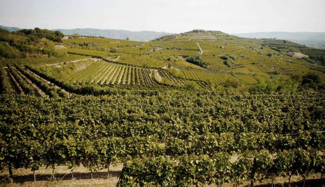 Soave: beyond the zoning