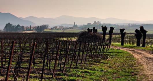 Forbes: Franciacorta is one of the SIX EXCITING WINE REGIONS TO EXPLORE IN 2014