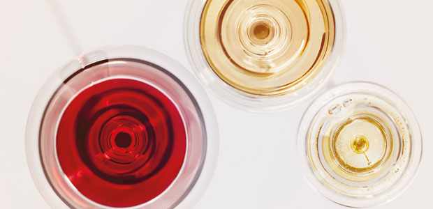 Bolzano Wine Tasting