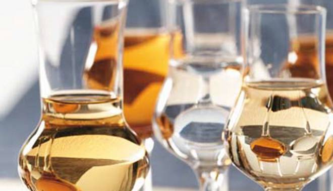 VINITALY 2014: the Tour of Italy of Grappa