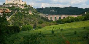 Wines of the World in Spoleto: the 2014 news