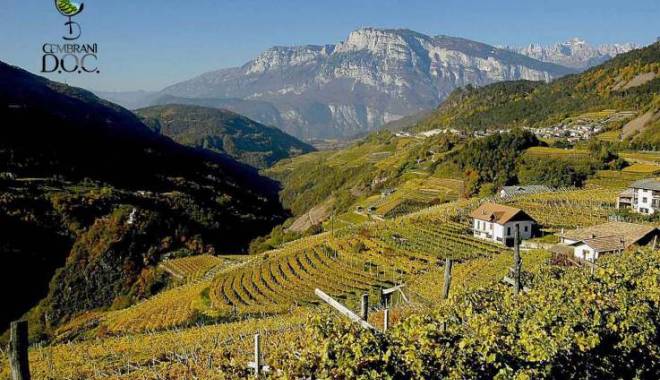 Cervim 2014: the best mountain wines