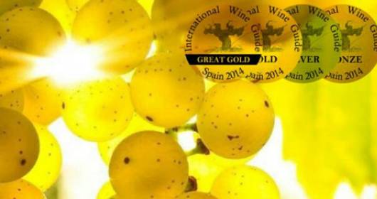International Wine Guide 2014: 31 medals to the best Italian wines
