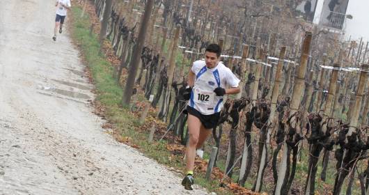 Prosecco Run 2014: waiting for the small marathon on the streets and wineries of Prosecco D.O.C.G.