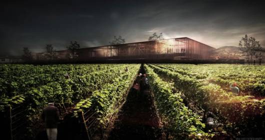 Valpolicella Negrar Winery: the young winning ideas for the future Wine Culture Centre
