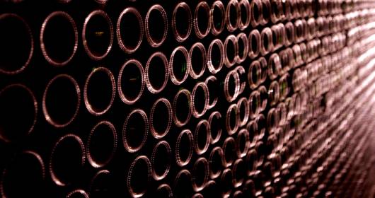 Lambrusco: to promote quality with traceability