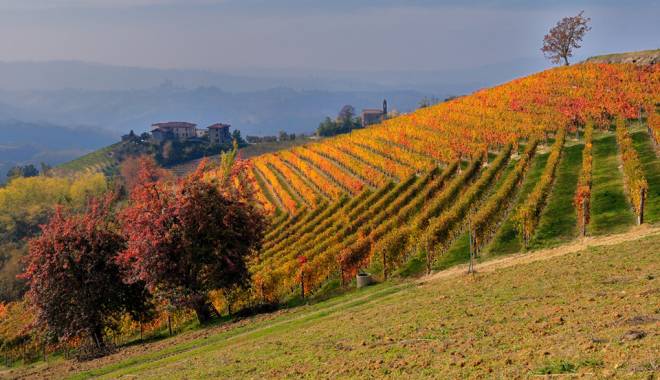 Barolo and Barbaresco: the MeGa for the promotion vineyard to vineyard