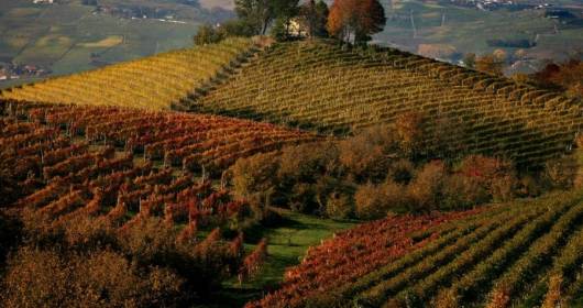 Piedmont is among the 10 Best Wine Travel Destinations 2015 of Wine Enthusiast