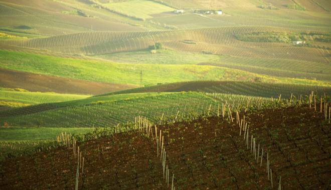 SICILIA EN PRIMEUR: MORE AND MORE INTERNATIONAL AND SUSTAINABLE