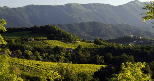 Prosecco Superiore: the hills of Conegliano Valdobbiadene towards the recognition of Unesco World Heritage