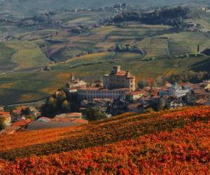 WIMU Barolo: aperture straordinarie e nuova stagione per l'innovativo museo del vino