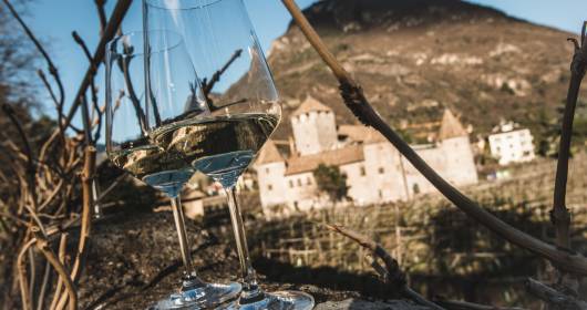 Bolzano Wine Tasting 2015: an achievement for South Tyrol wines