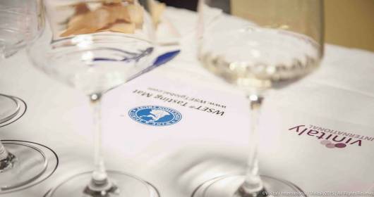 Vinitaly International Academy presents the five ITALIAN WINE AMBASSADOR