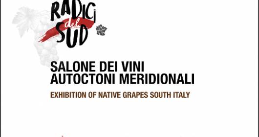 Radici del Sud 2015: the major wine experts are awaited