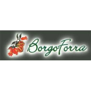 Borgoforra