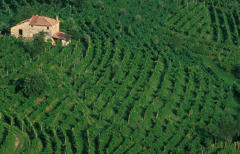 Ruggeri & C. S.p.A. Cantine Valdobbiadene