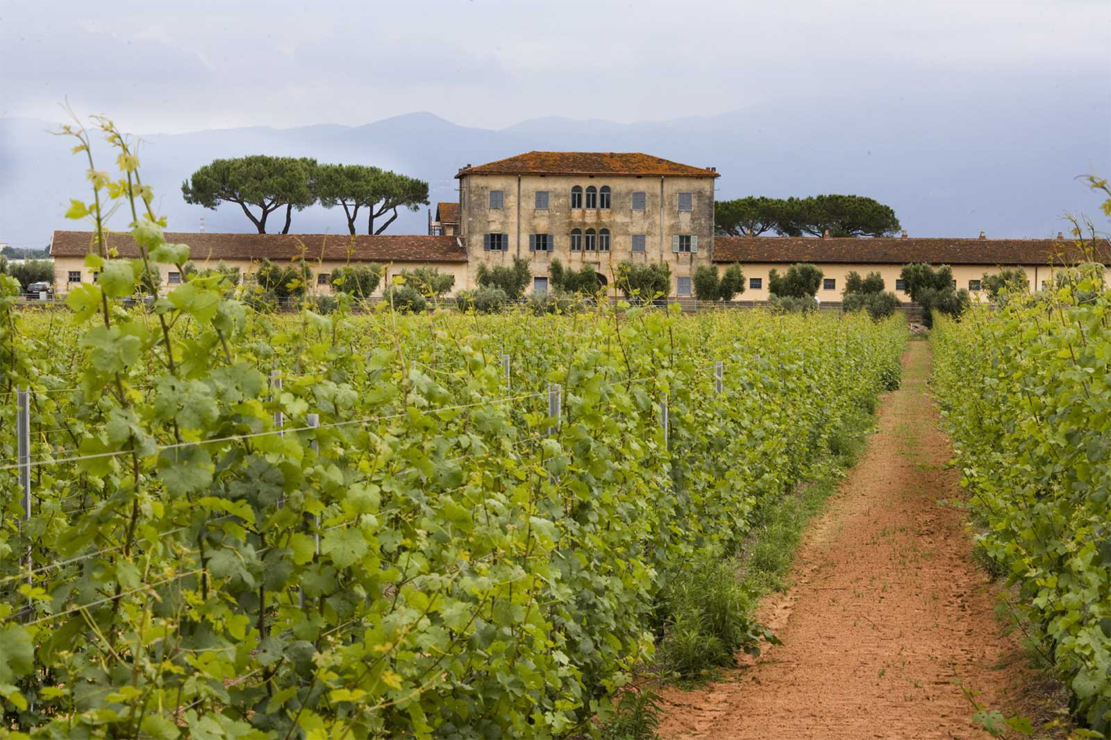 Casale del Giglio