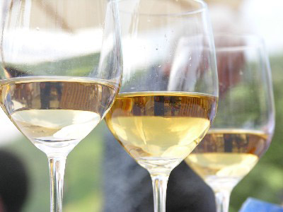 Consorzio di Tutela del Vino bianco di Custoza