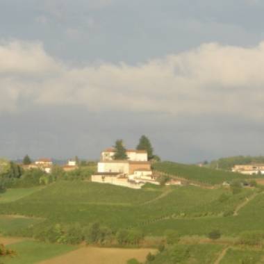 Amelio Livio Azienda Vitivinicola