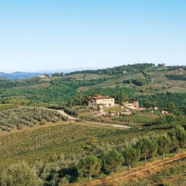 Borgo Salcetino