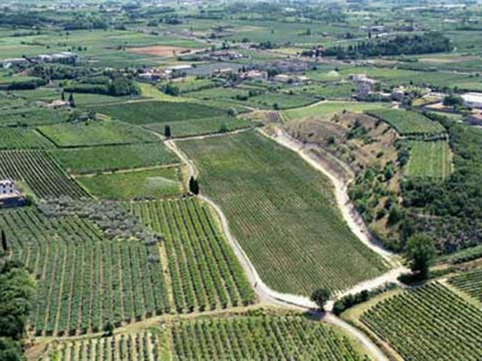 Azienda Agricola Villabella