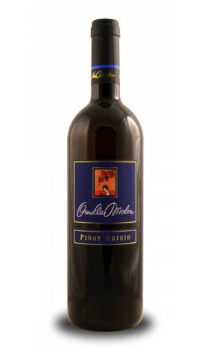 Wine Pinot Grigio del Piave Ornella Molon 2010