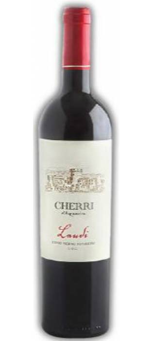 Wine &quot;Laudi&quot; Rosso Piceno Superiore Selection
