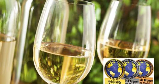 "Chardonnay du Monde 2015" the award–winning Italian wines are 9