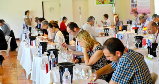 Mondial du Sauvignon 2015: the award–winning Italian wines