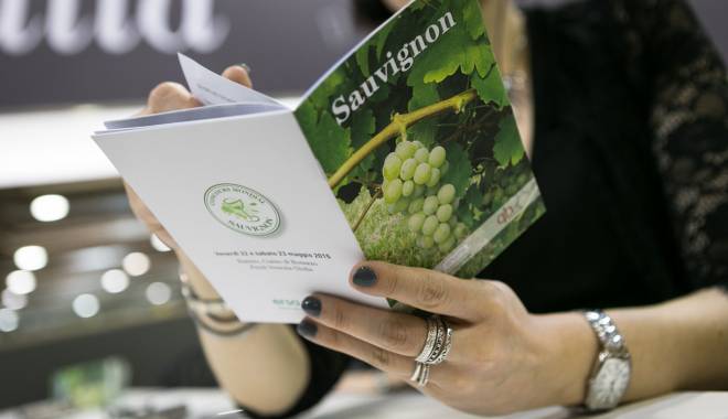 6th CONCOURS MONDIAL DU SAUVIGNON: the awarded Italian wines