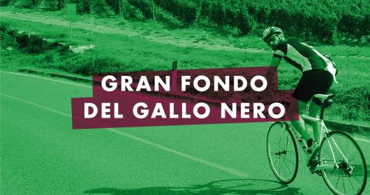 "Granfondo del Gallo Nero" 2015: on 20th September cycling with Chianti Classico