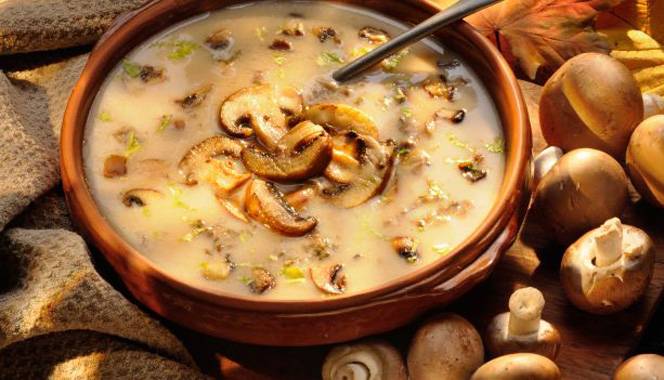 Mushroom soup