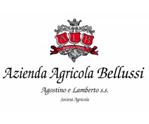 Azienda Agricola Bellussi