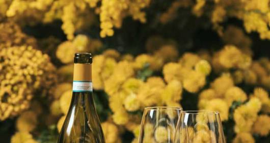Masi presents two new Lugana Doc white wines in the name of sustainability