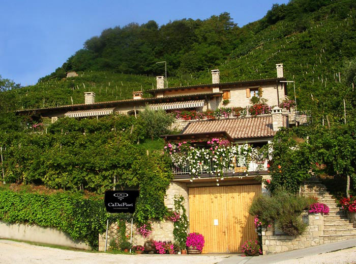 Azienda Agricola Ca' Dei Fiori Cantine Valdobbiadene