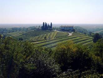 Panorama La Subida Cormons Collio Friulano