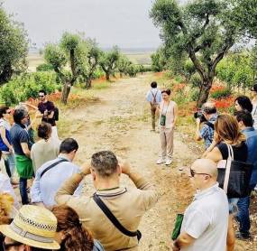 ON LINE WITH STORIES OF WINE AND WINE TOURING SO PUGLIA WILL CELEBRATE